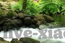 vlog糖心官网版app-评测深度,Vlog糖心官网版APP,探索日常记录新境界